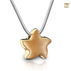 Treasure medallion ster goud